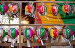 薬師池公園とリス園⑥　提灯