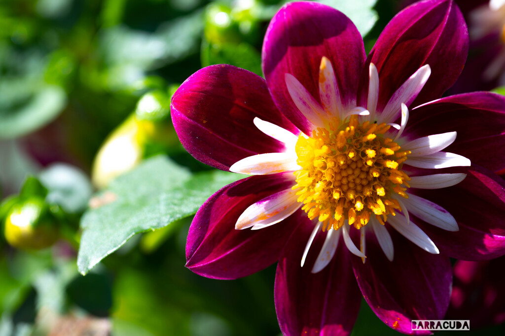 木場公園にて⑪