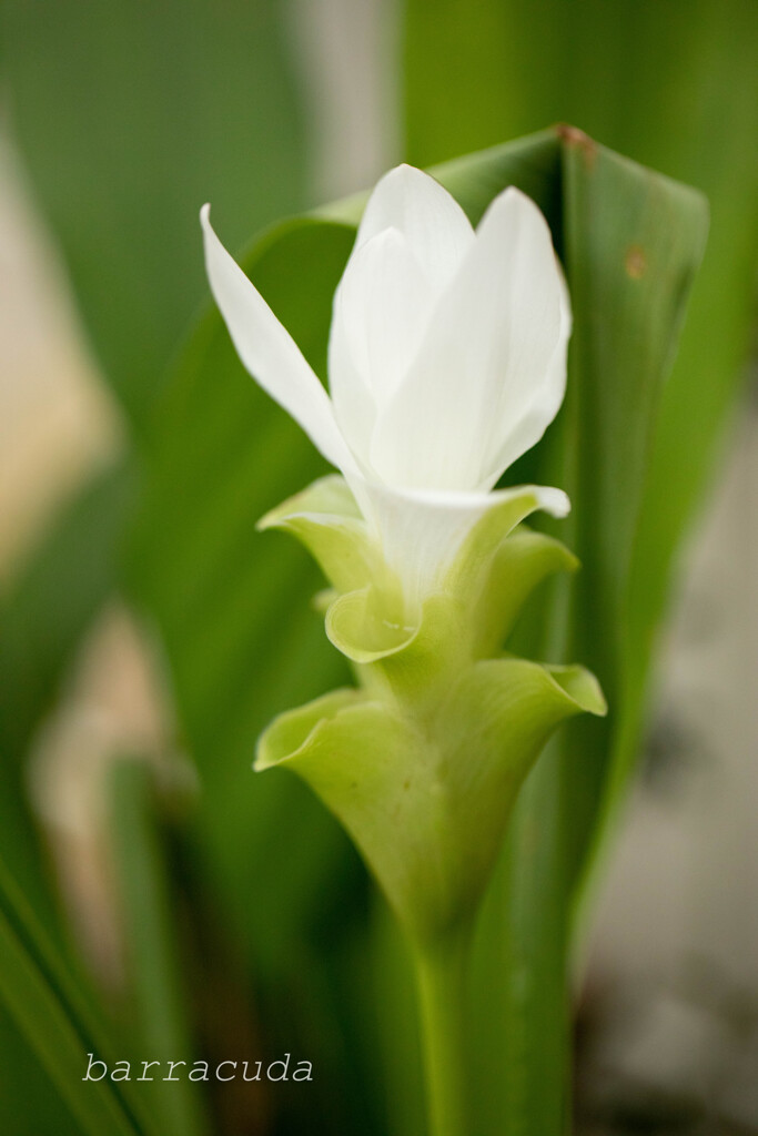 港が見える丘公園①