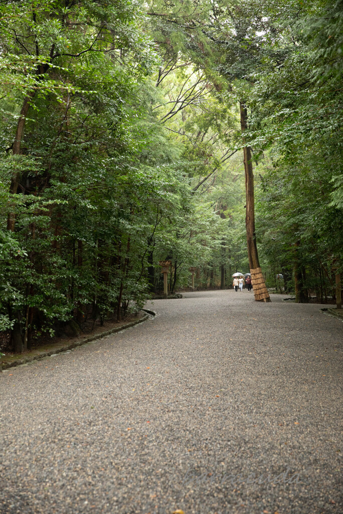 伊勢・熊野・高野山旅行シリーズ