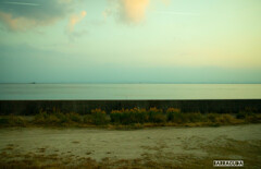 出雲旅行（紅葉編）⑤