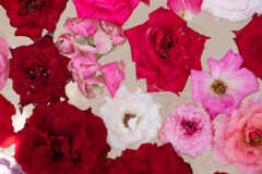 フラワーアレンジメント赤系