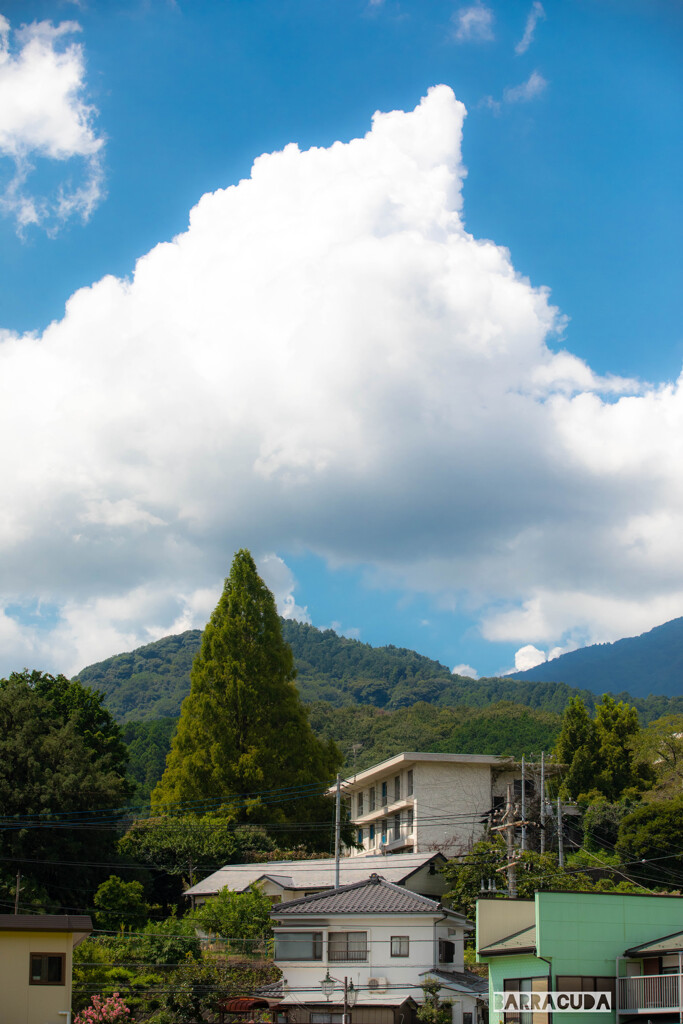 七沢森林公園⑤