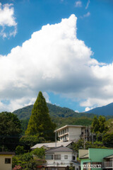 七沢森林公園⑤