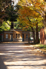 上野公園散策（第一弾）⑦