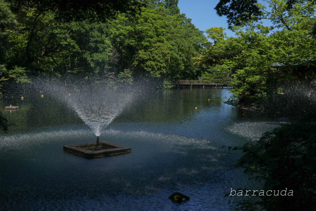 井之頭公園の巻（またしても蔵出し）⑧
