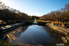 昭和記念公園⑨