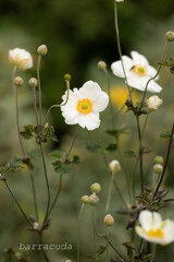 港が見える丘公園⑥