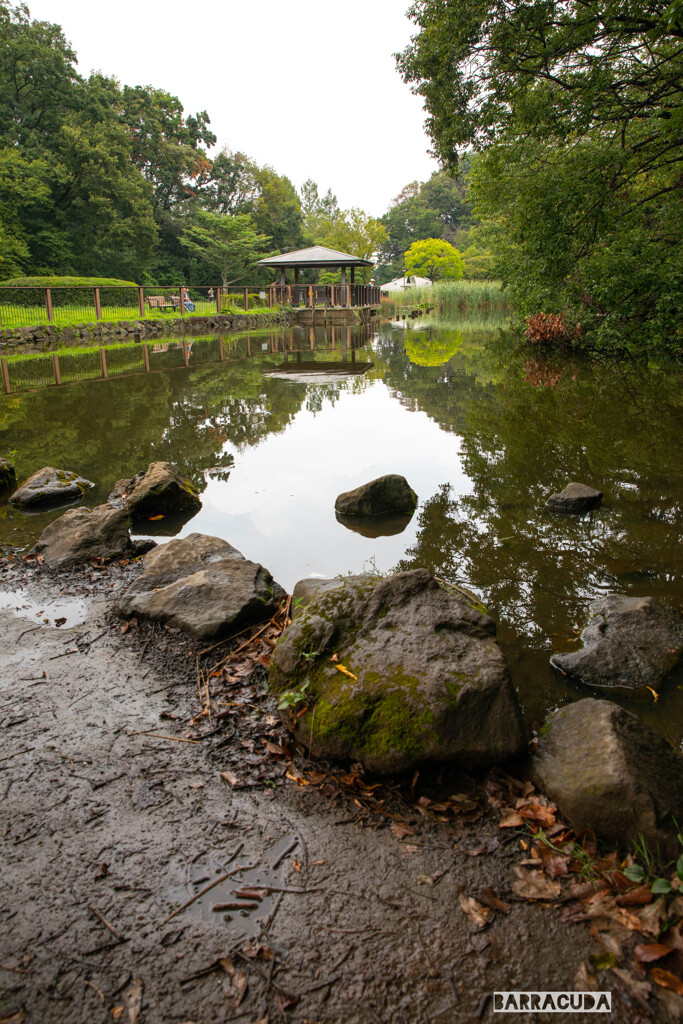 久良岐公園にて⑩