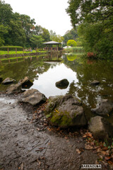 久良岐公園にて⑩