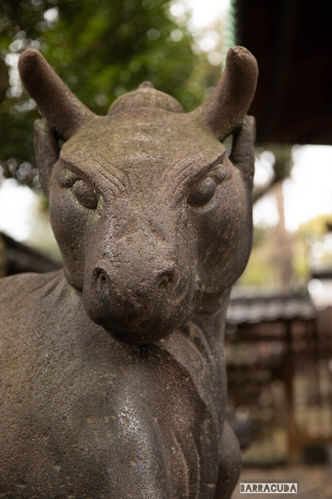 言問橋と牛島神社⑤