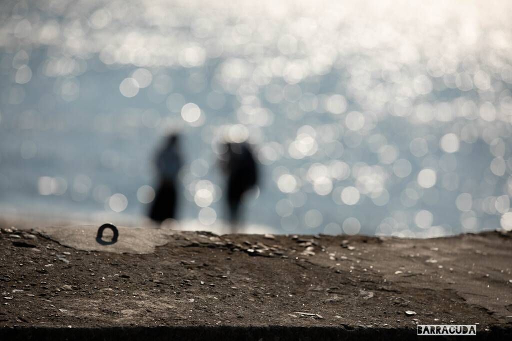 横須賀・猿島シリーズ⑦　浜辺Ⅱ