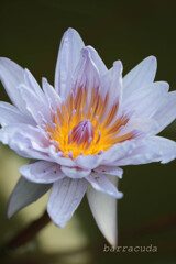 2016年2月大船にて④