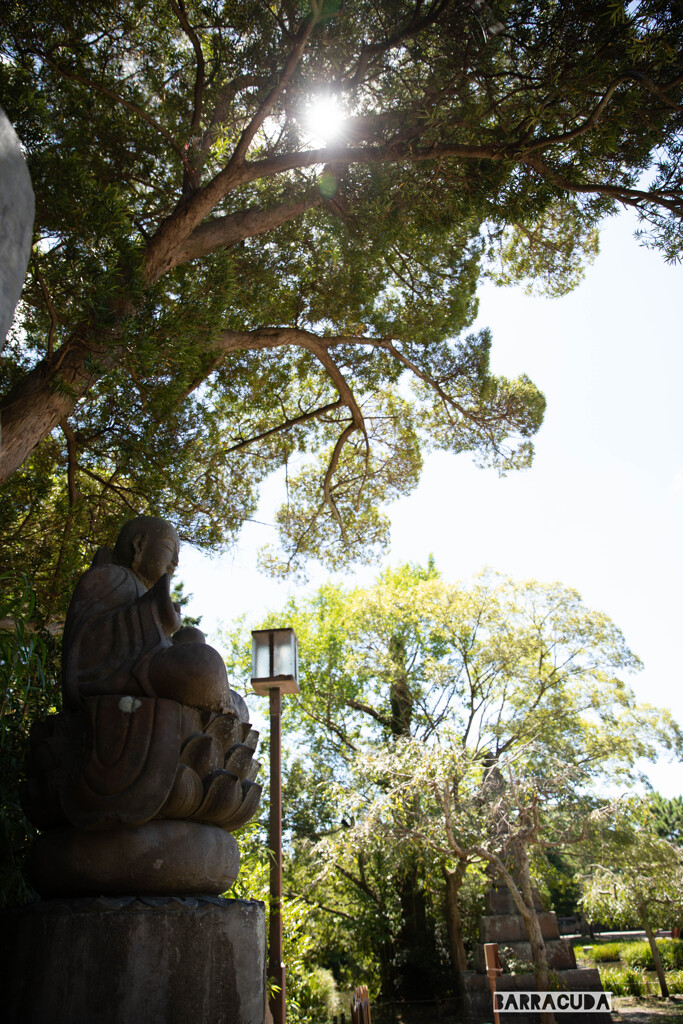 金沢区称名寺⑤