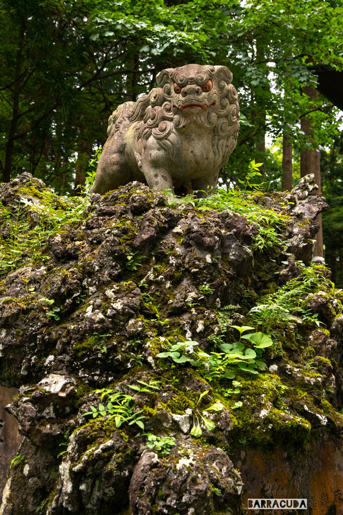 富士山周辺の神社③