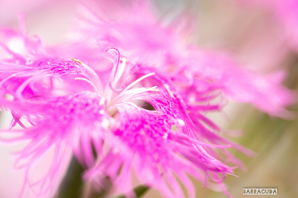 木場公園にて⑧