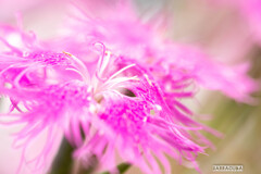 木場公園にて⑧