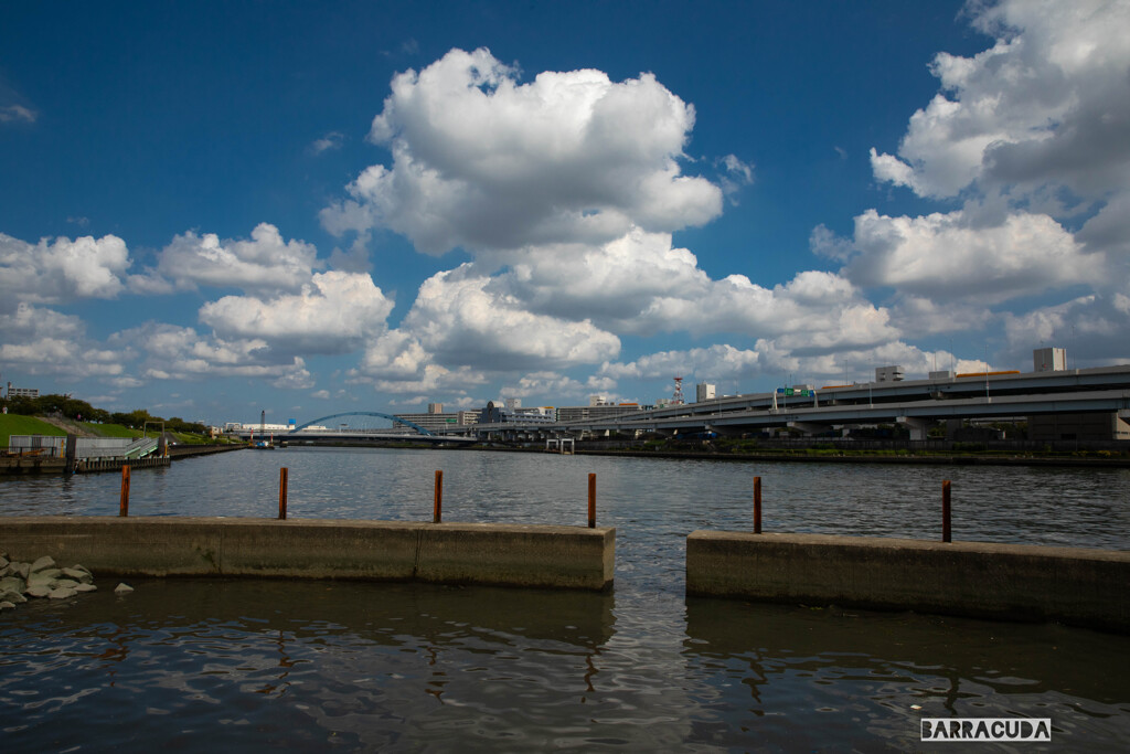 隅田川③