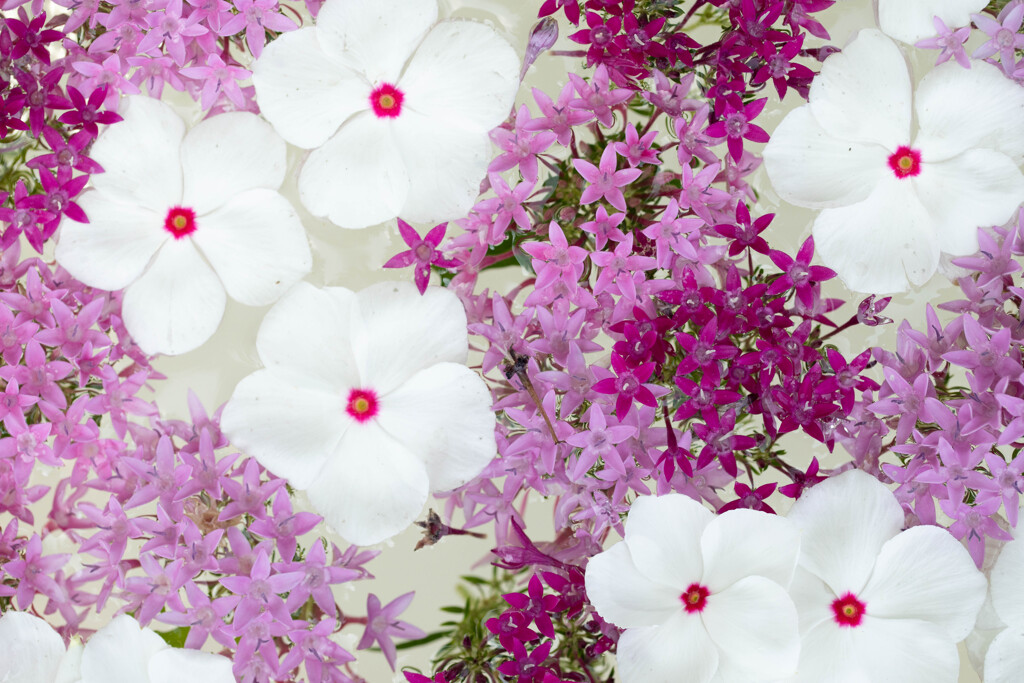 フラワーアレンジメントピンク系