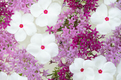 フラワーアレンジメントピンク系