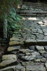 伊勢・熊野・高野山　旅行シリーズ