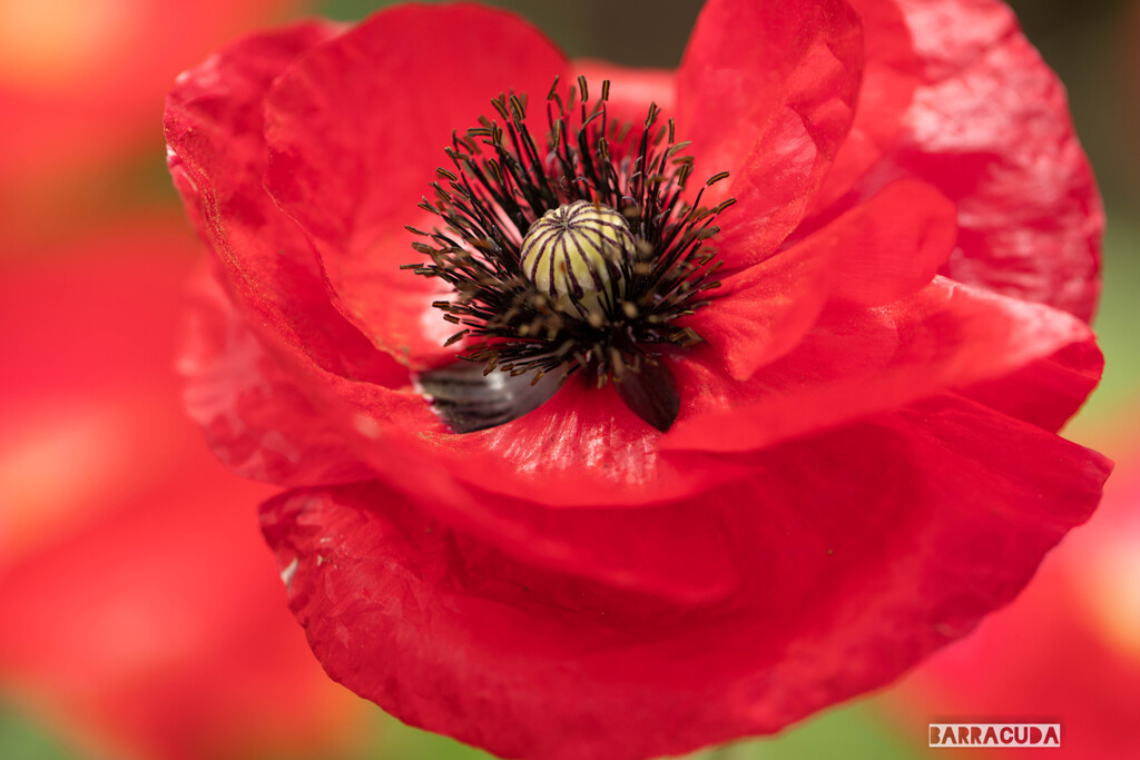 木場公園にて④