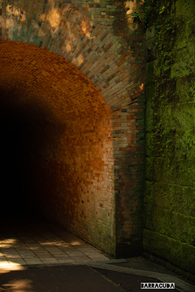 横須賀・猿島シリーズ⑤　冒険Ⅳ