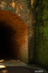 横須賀・猿島シリーズ⑤　冒険Ⅳ