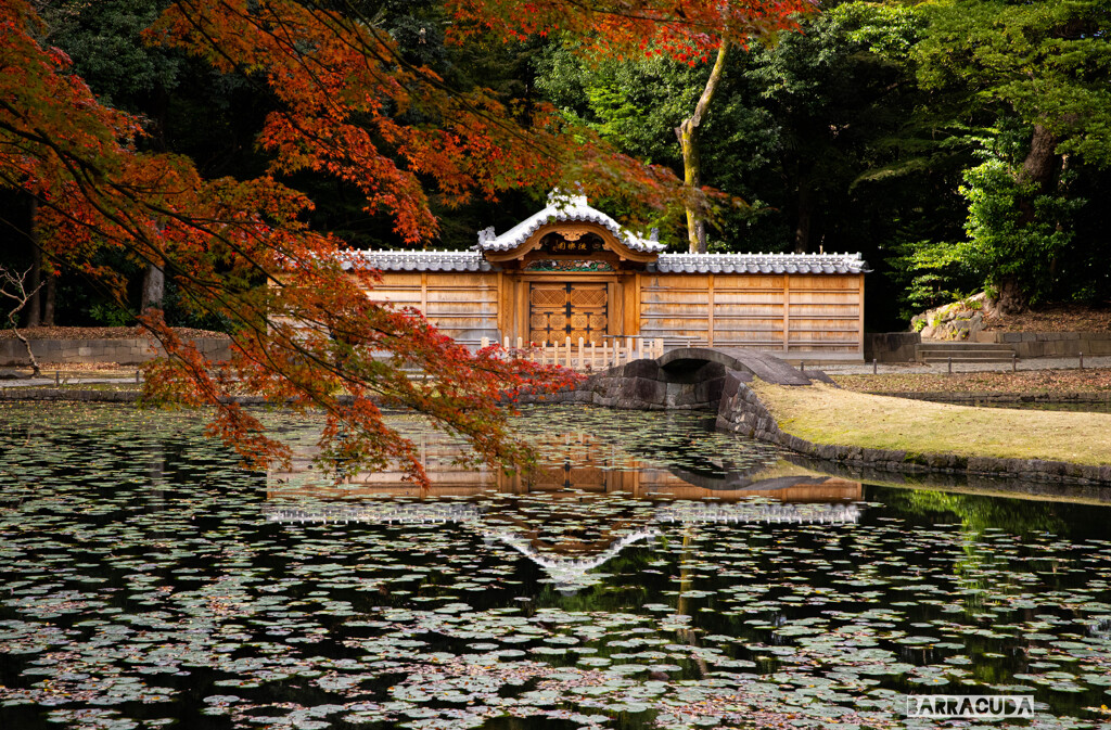 後楽園の紅葉③