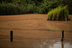舞岡公園シリーズ