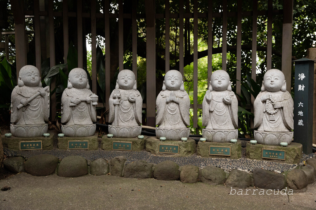 目黒・大円寺⑤