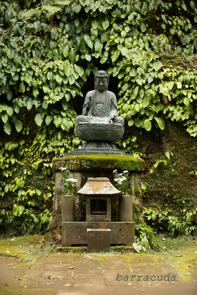 鎌倉・東慶寺