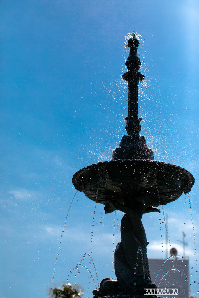 山下公園・港の見える丘公園のその他②