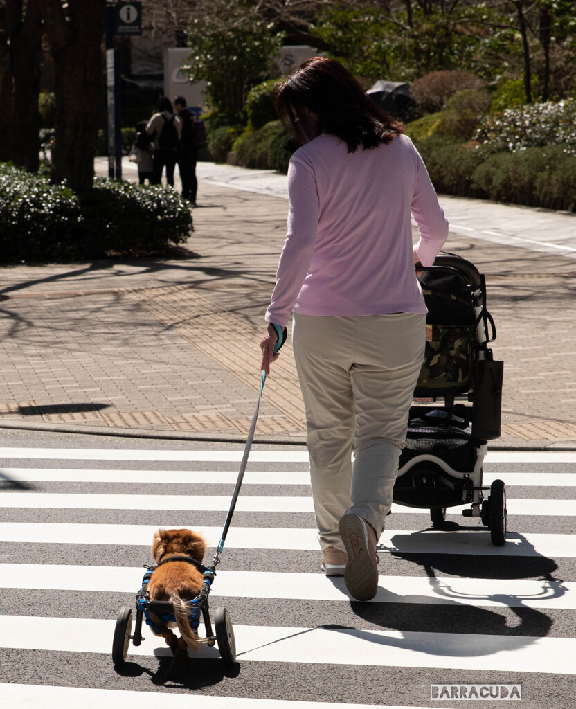 芝公園番外編③