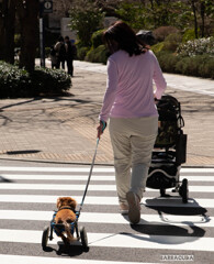 芝公園番外編③