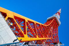 芝公園番外編⑤