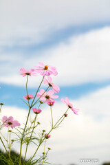 里山ガーデン⑥