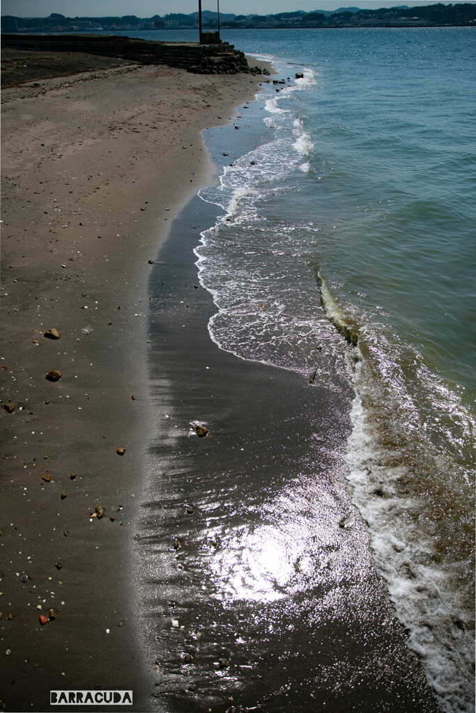 横須賀・猿島シリーズ①　浜辺Ⅰ