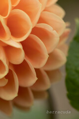 港が見える丘公園⑩