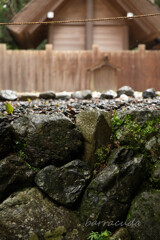 伊勢・熊野・高野山旅行シリーズ