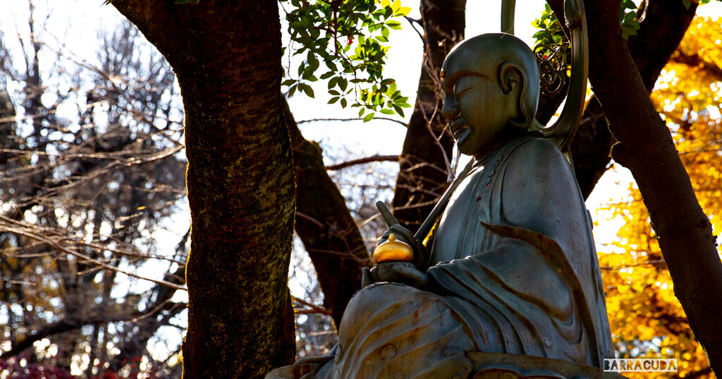 九品仏再び　祈り　コロナの終息