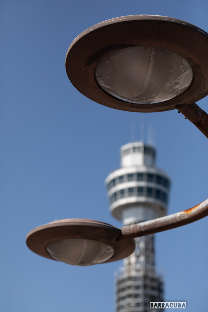 山下公園・港の見える丘公園のその他④