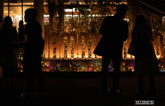 夜景シリーズ⑤