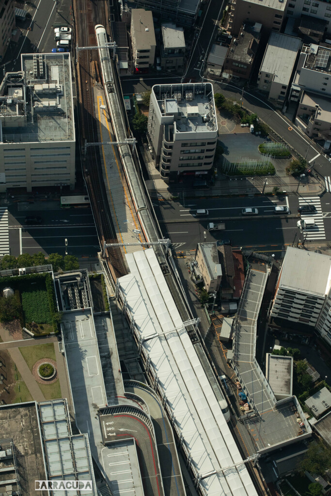 初めてのスカイツリー⑨