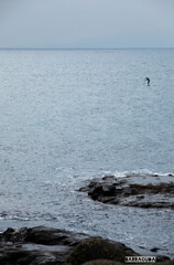 江の島ヨットハーバー⑨