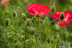 木場公園にて⑥