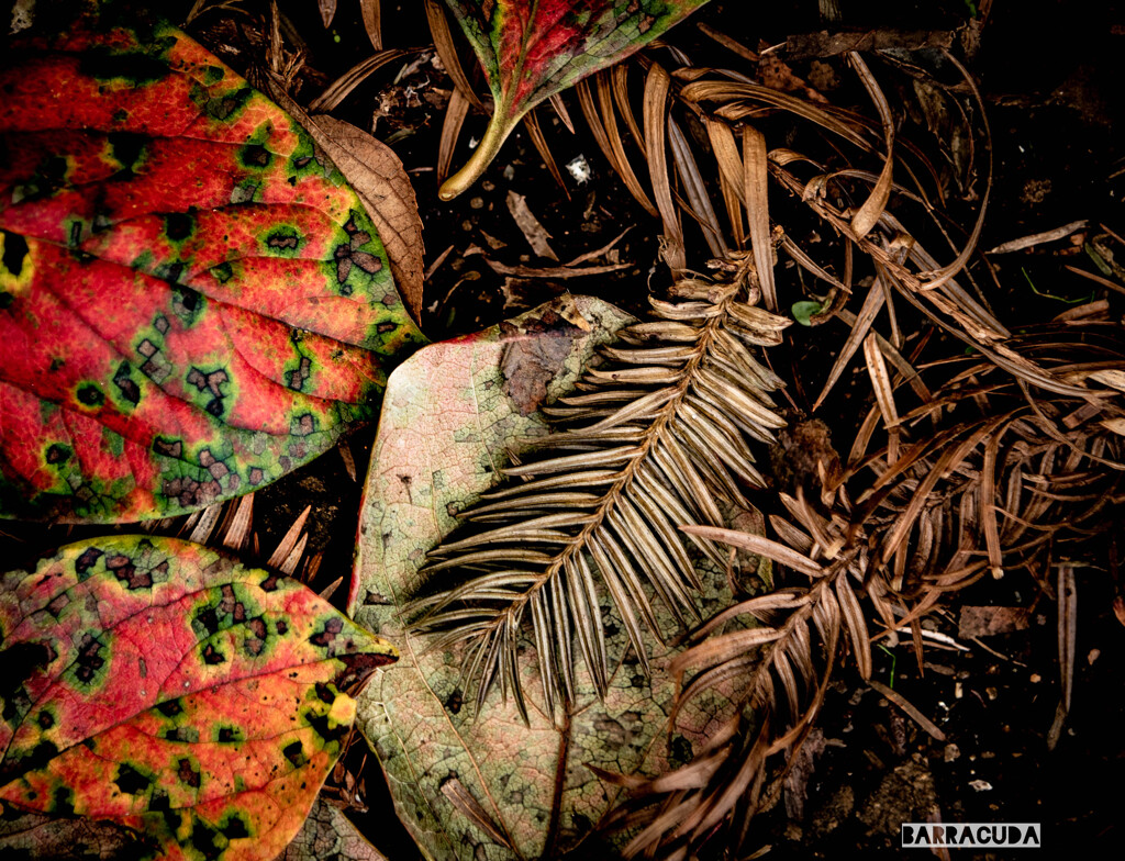 作品『大地の温もり』