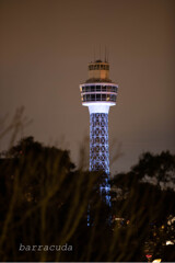 港が見える丘公園で港を見ました⑨