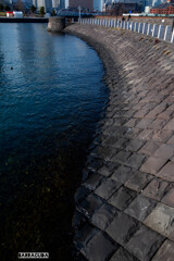 ぞぅ～～～～～～の鼻