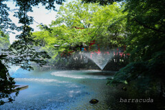 井之頭公園の巻（またしても蔵出し）⑦